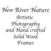 Kerri Farley Of New River Nature To Exhibit At Juried Craft Show November 2015